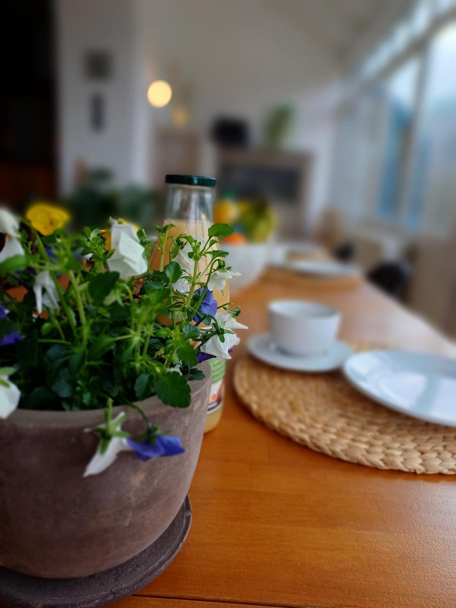 Gite Villa Le Monde - La-Roche-en-Ardenne Zewnętrze zdjęcie